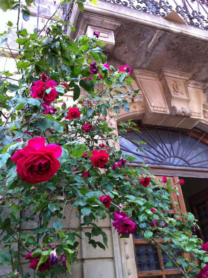 Chambre D'Hotes Maison Splendide Sainte-Valière Dış mekan fotoğraf
